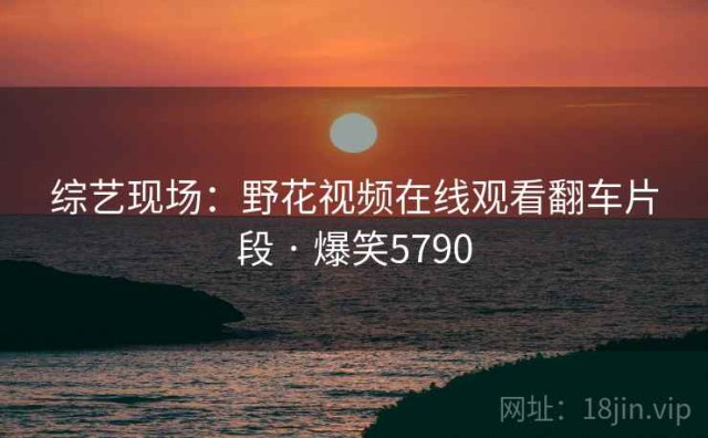 综艺现场：野花视频在线观看翻车片段 · 爆笑5790