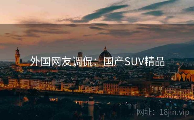 外国网友调侃：国产SUV精品