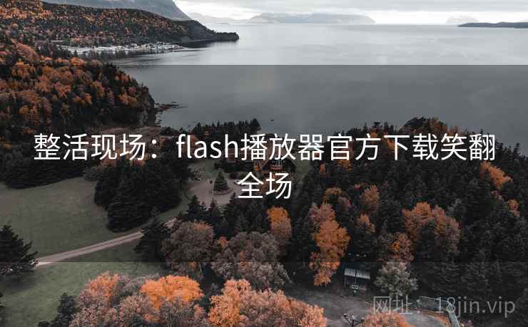 整活现场：flash播放器官方下载笑翻全场