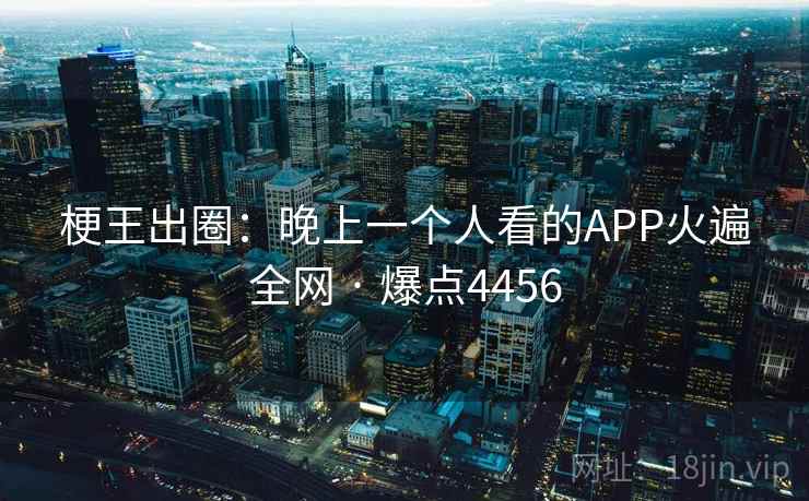 梗王出圈：晚上一个人看的APP火遍全网 · 爆点4456