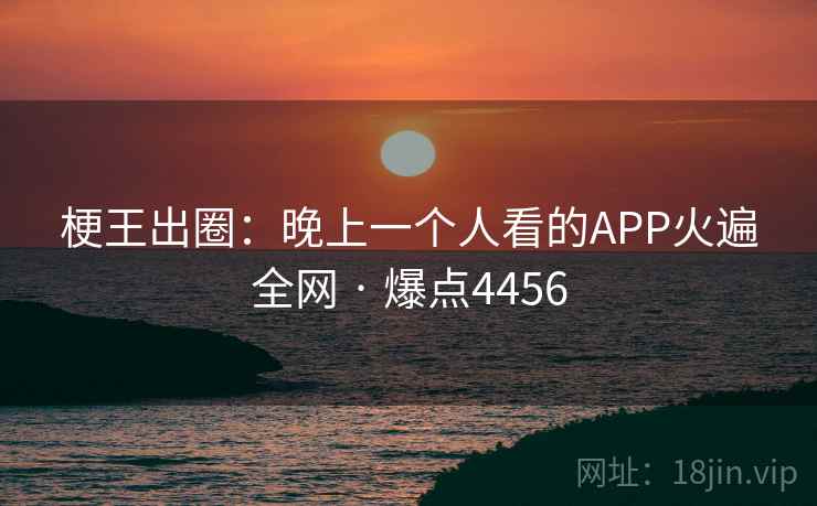 梗王出圈：晚上一个人看的APP火遍全网 · 爆点4456