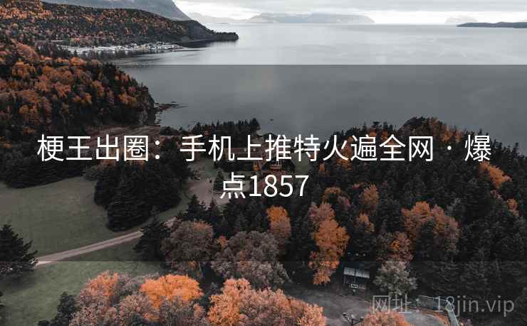 梗王出圈：手机上推特火遍全网 · 爆点1857